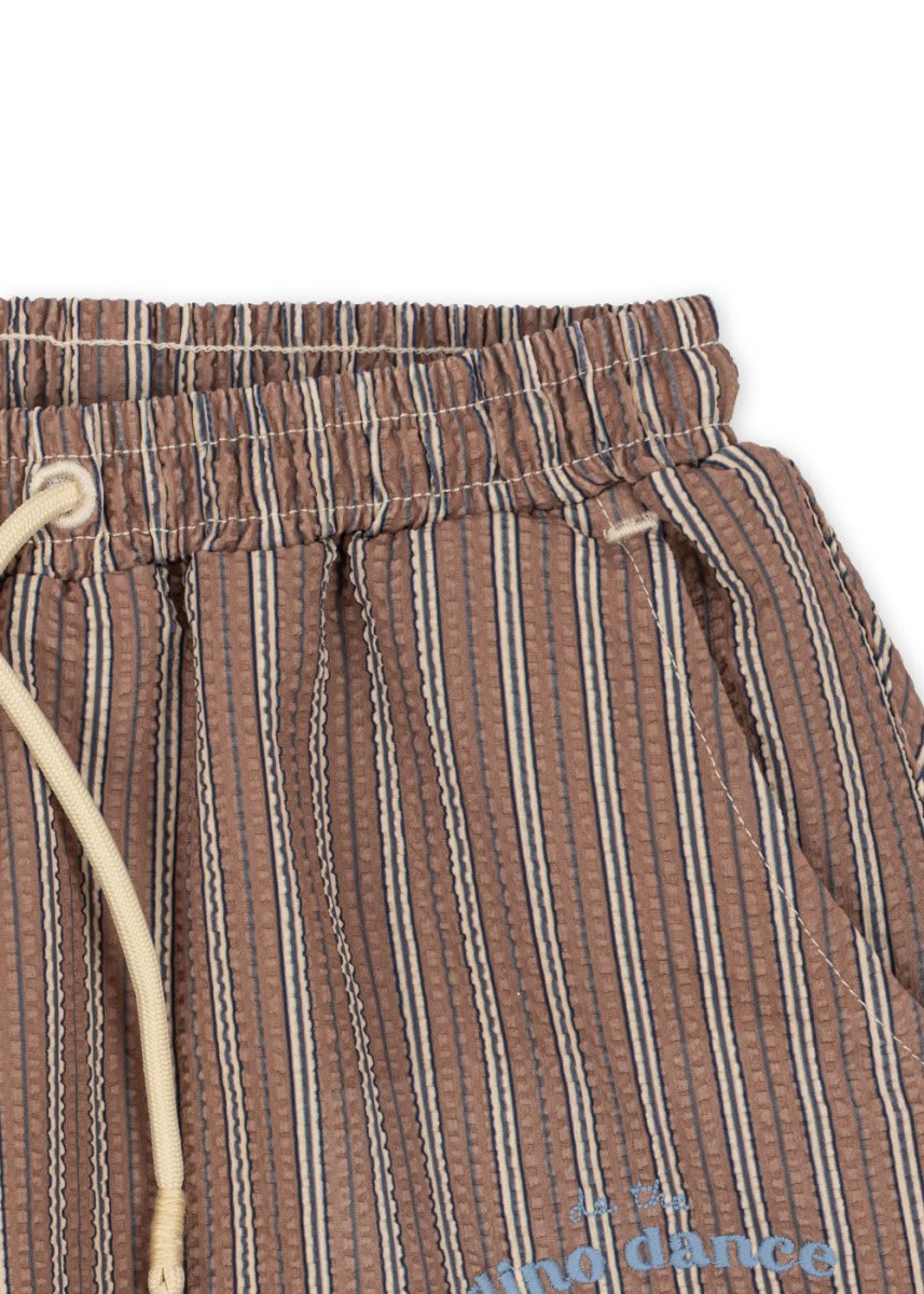 Kids Dino Swim Shorts