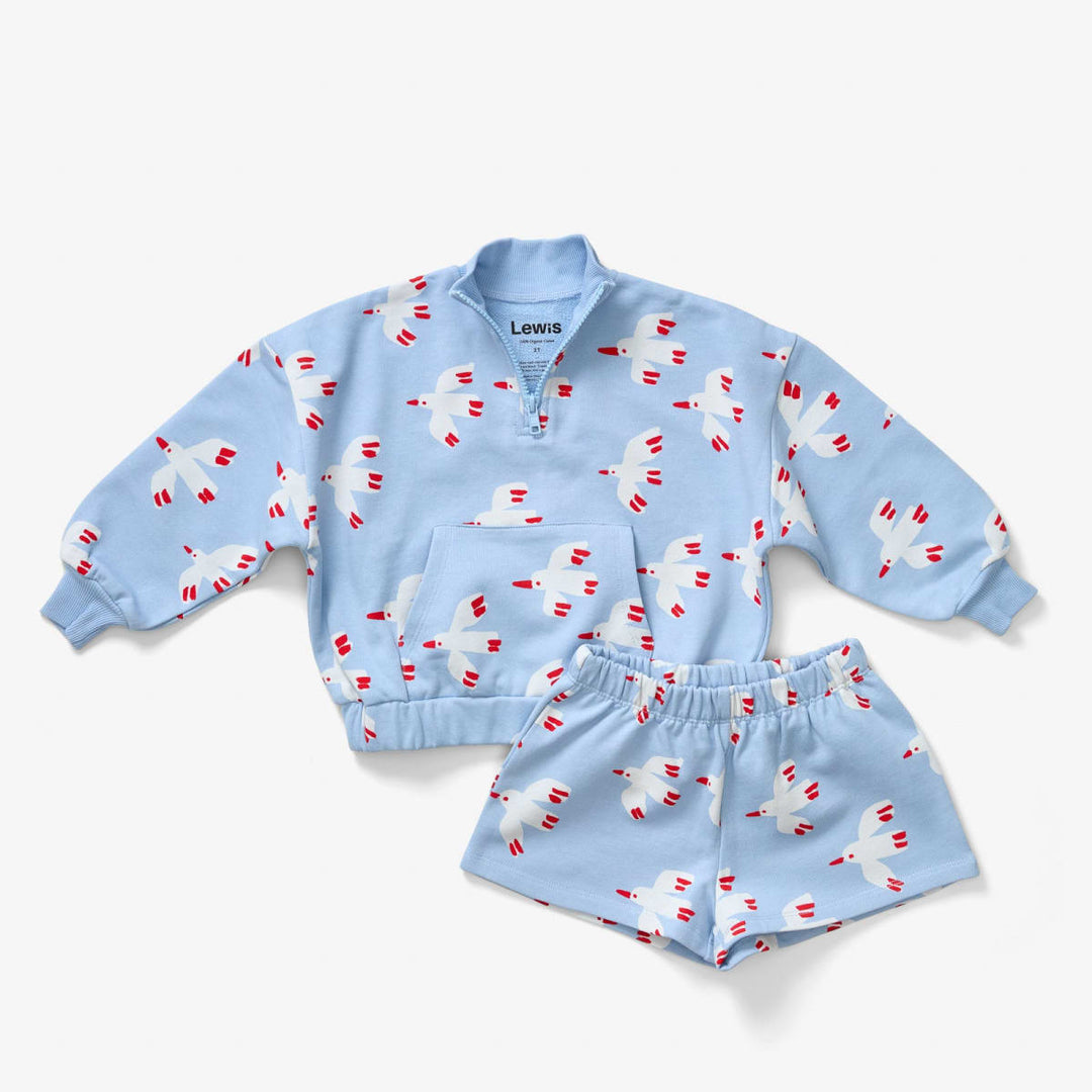 Quarter Zip - Bird Sky