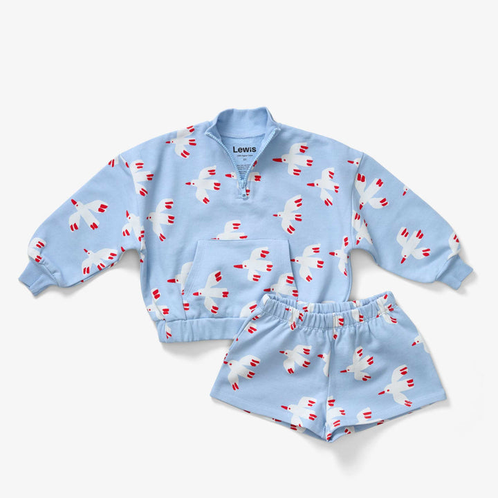 Quarter Zip - Bird Sky