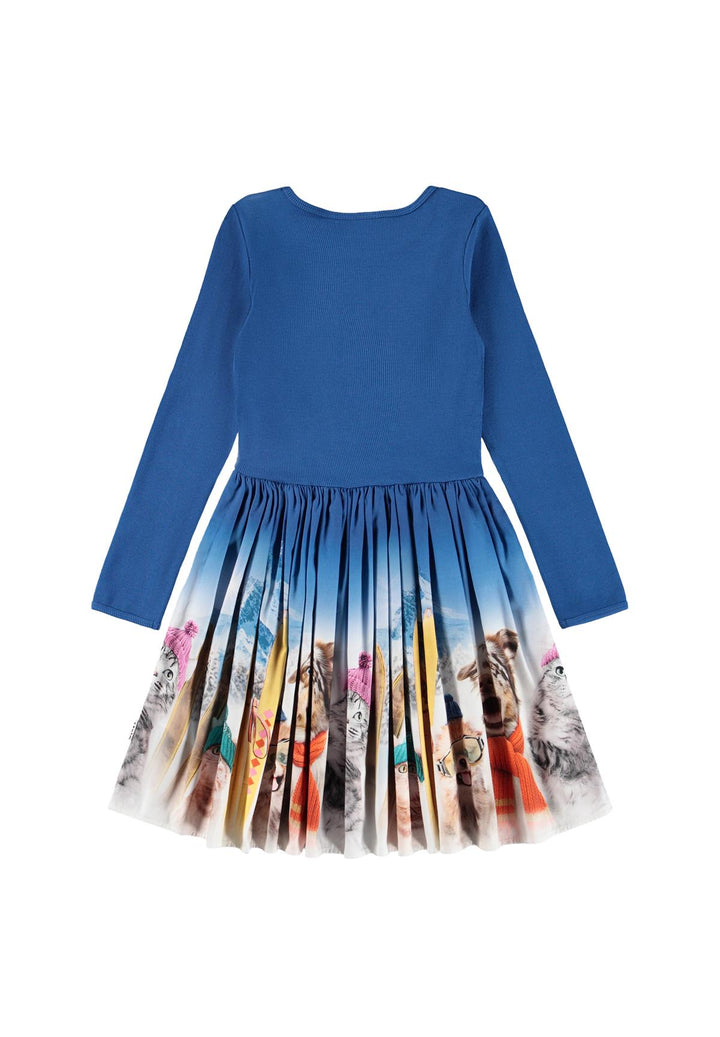 Casie Warm Dress Long Sleeve - Ski Trip