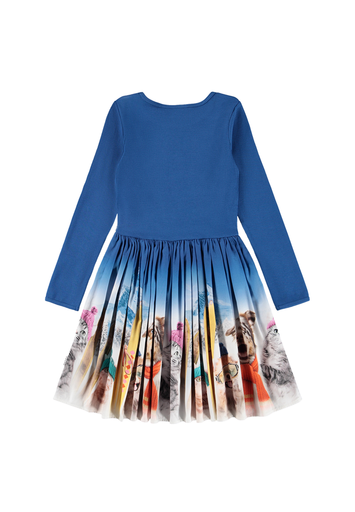 Casie Warm Dress Long Sleeve - Ski Trip