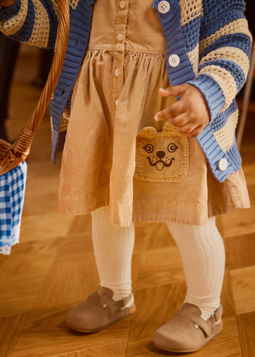 Charlie - Pomeranian