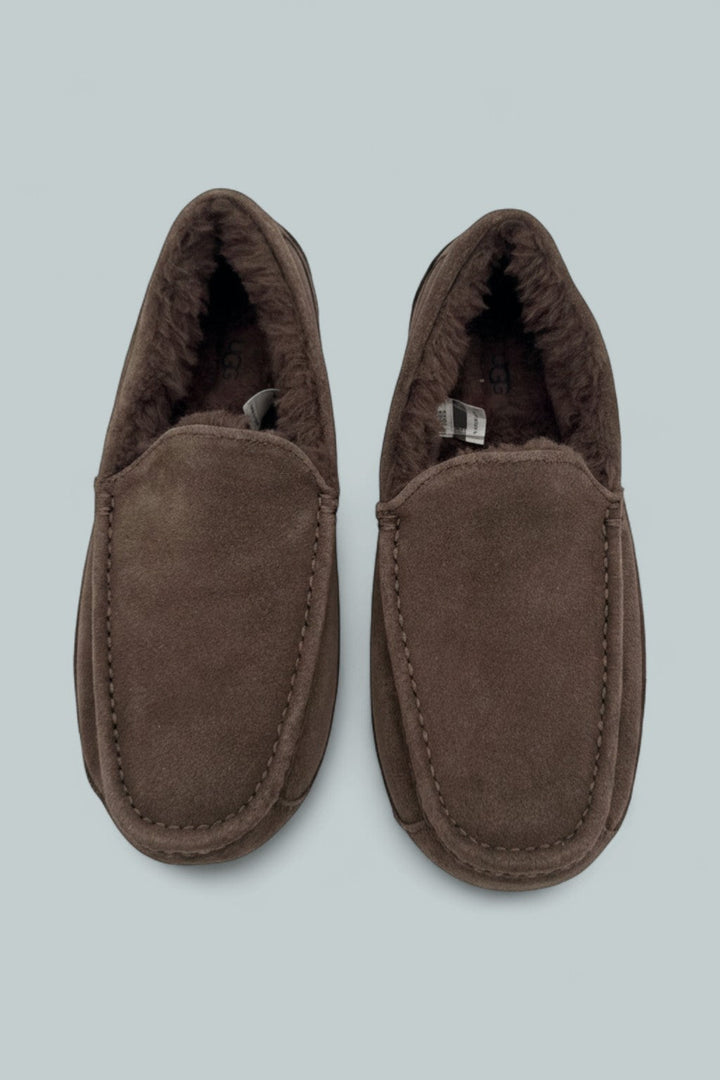 Ascot Casual Slippers - Dusted Cocoa