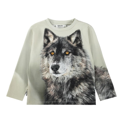 Rollo - Two Wolves