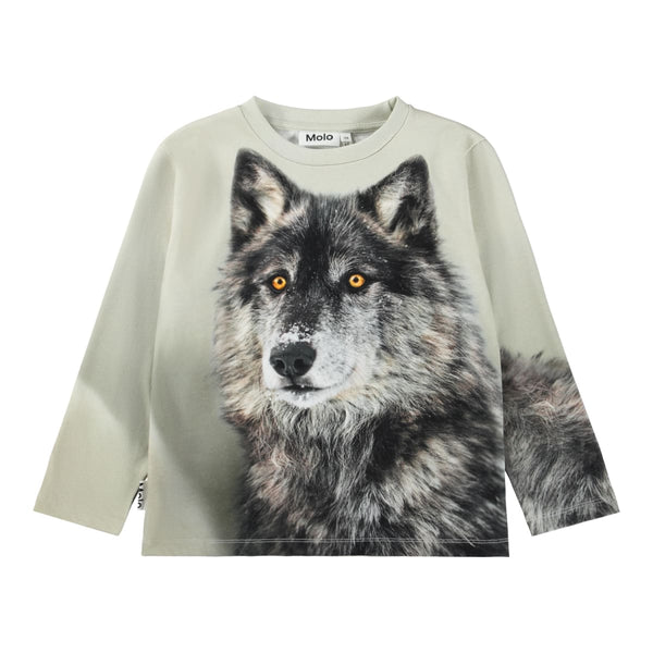 Rollo - Two Wolves