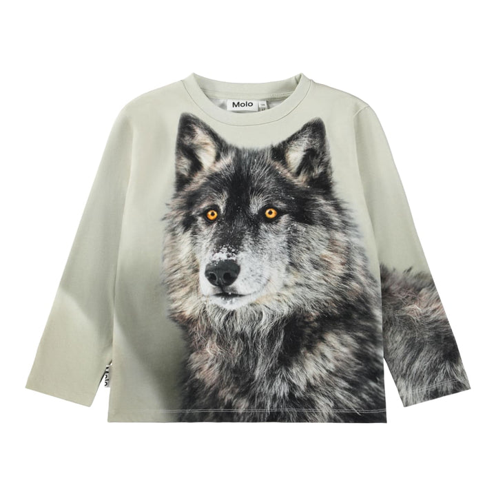 Rollo - Two Wolves