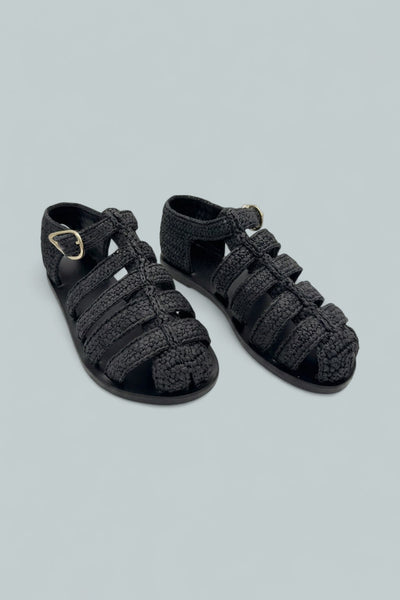 Homeria - Black