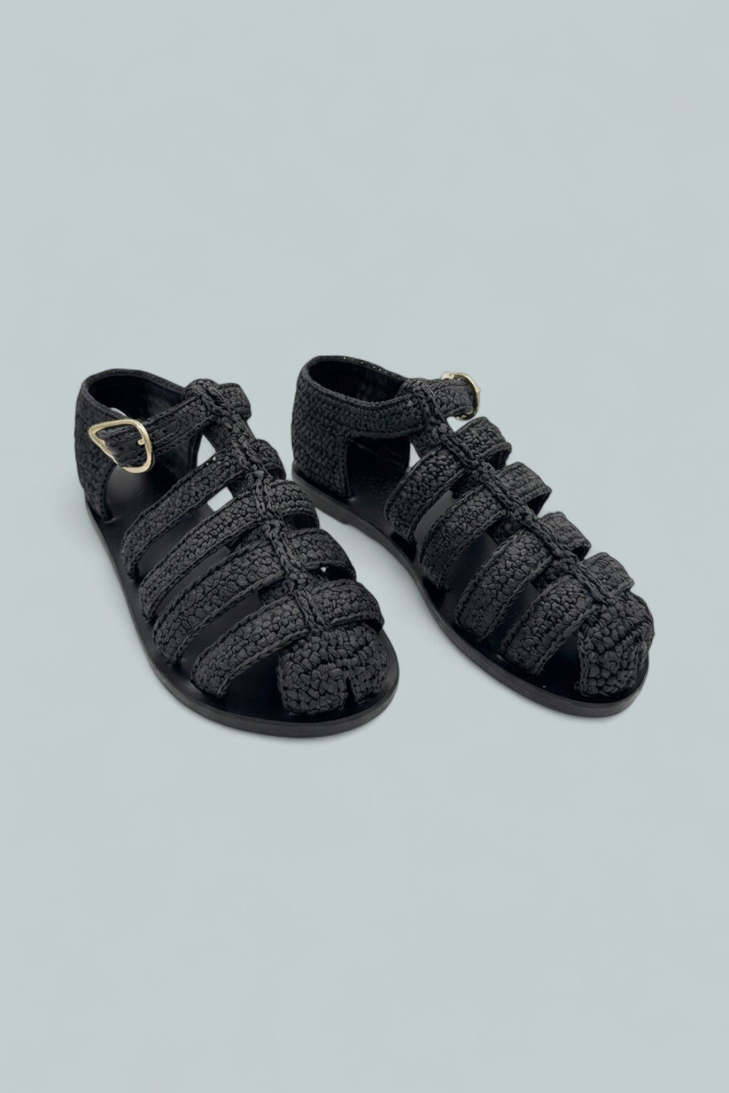 Homeria - Black