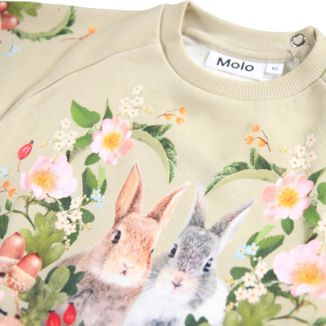 Disc - Forest Bunny