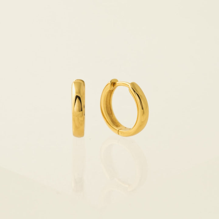 Core Hoop Earrings
