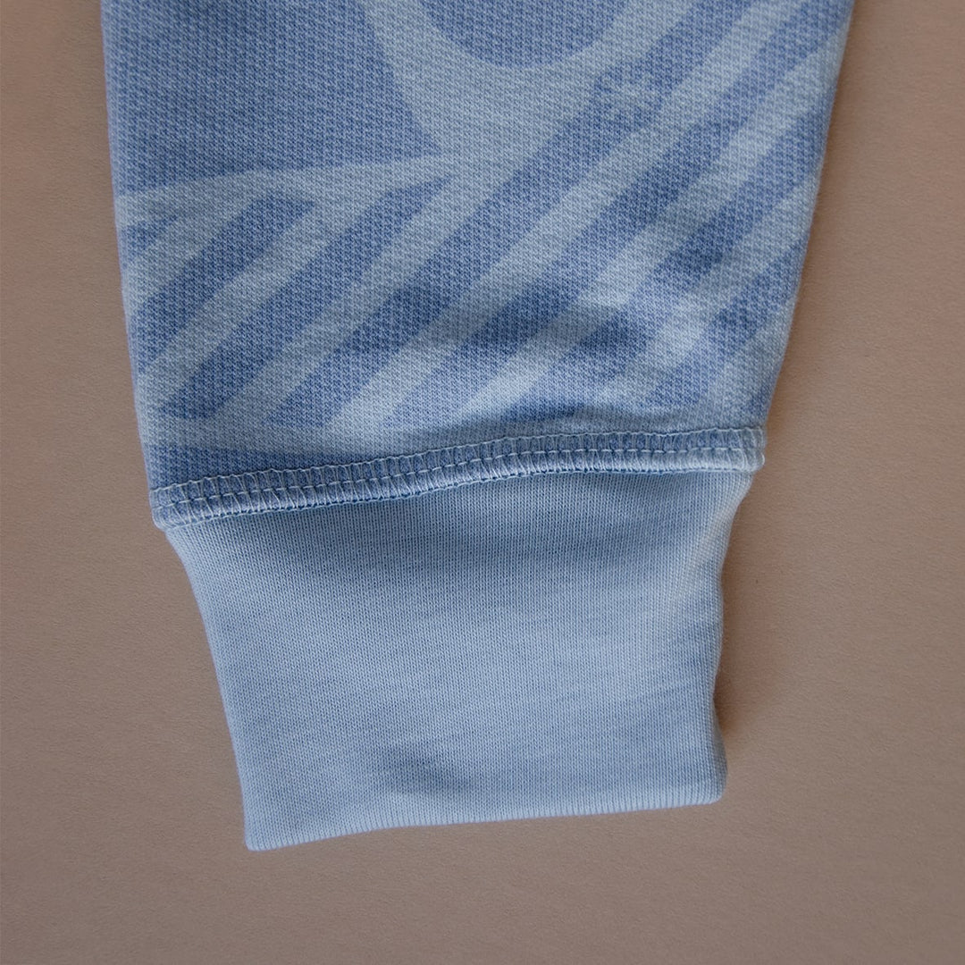 Adult Organic Pima Cotton Sweatshirt Unisex - Snowy Andes