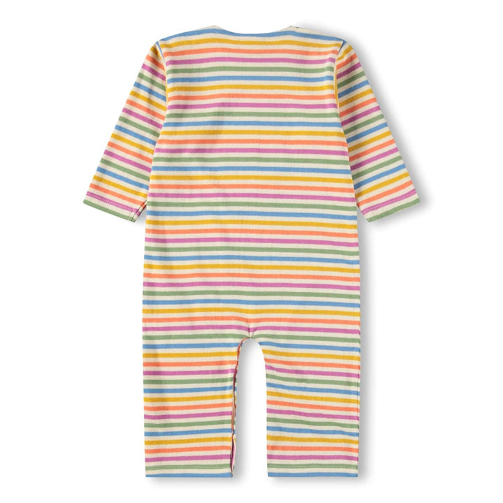 Flint - Mini Rainbow