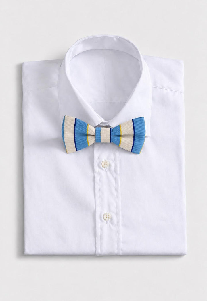 Woven Silk Stripe Bow Tie - Light Blue