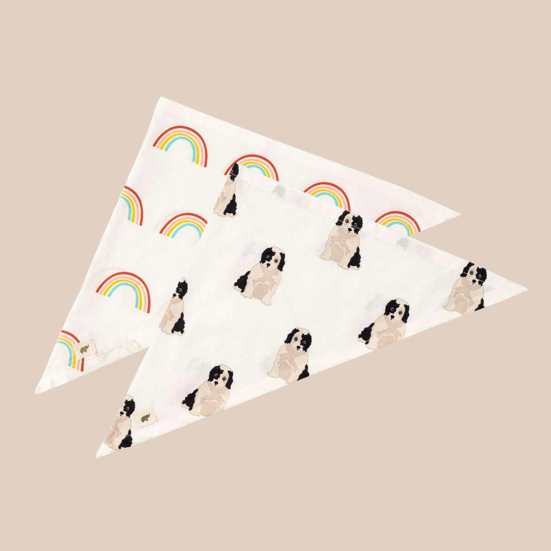 2-Pack Pet Bandana Bundle