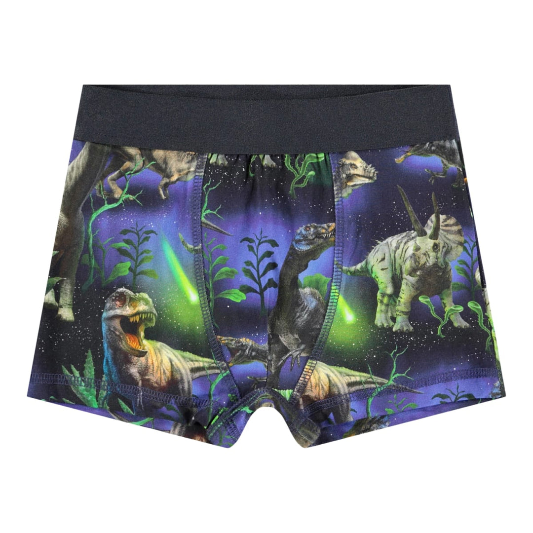 Justin 2-Pack Boxers - Dino Galaxy