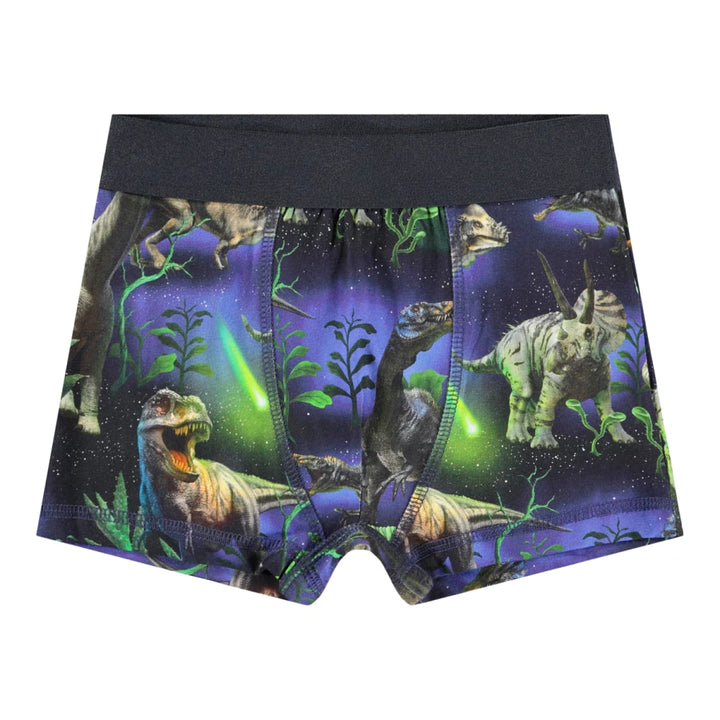 Justin 2-Pack Boxers - Dino Galaxy