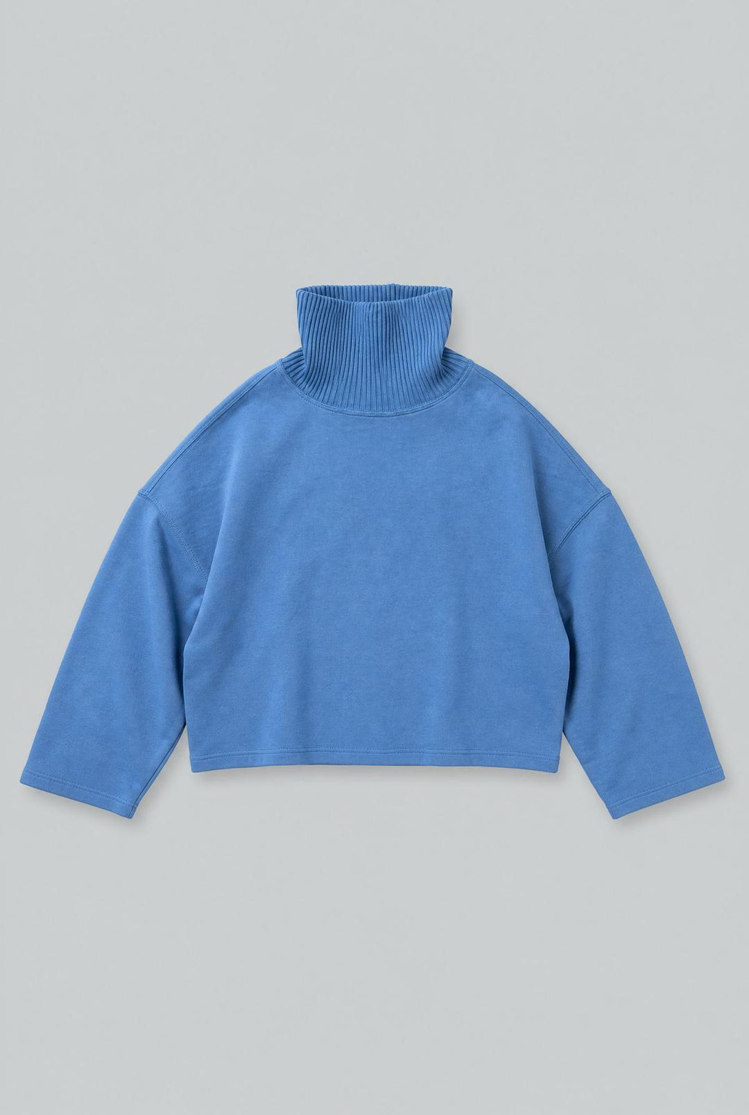 Turtleneck Sweatshirt - Blue