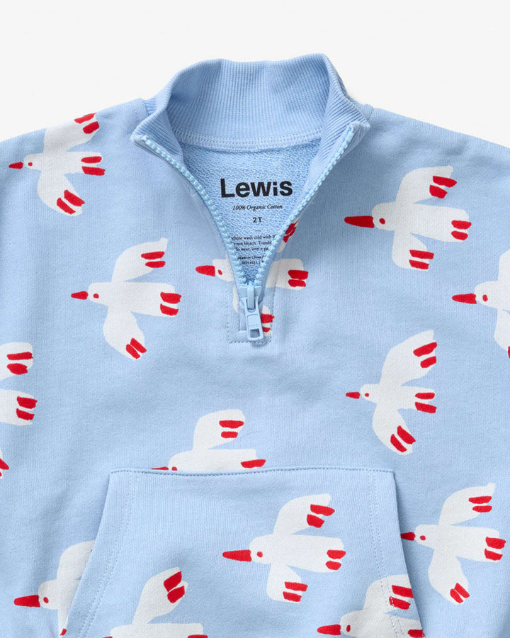 Quarter Zip - Bird Sky