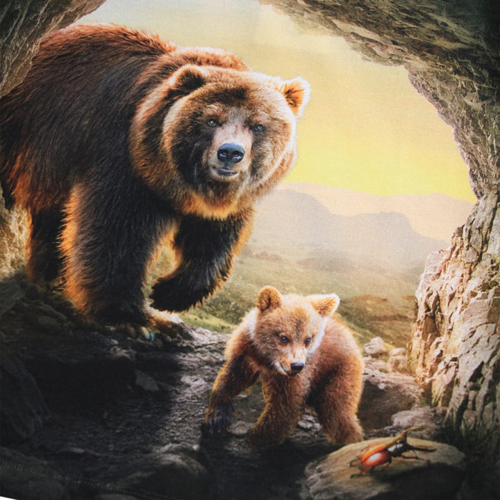 Reif - Bears In Cave