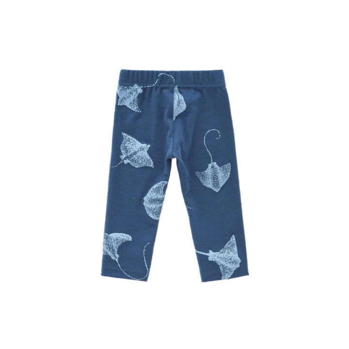 Baby Leggings - Navy