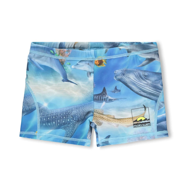 Norton - Air Brush Ocean