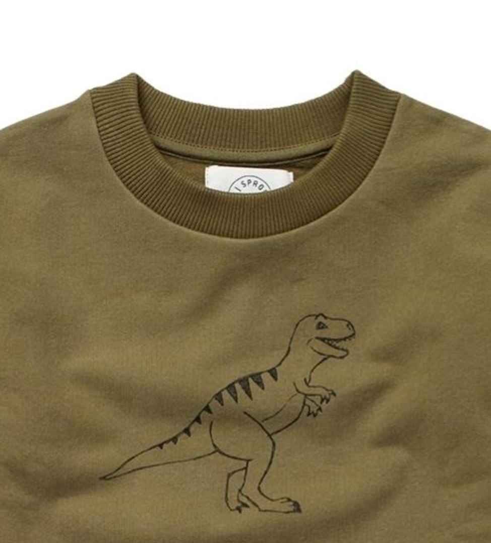 Dino Sweatshirt - Khaki Sweatshirts Sproet & Sprout 