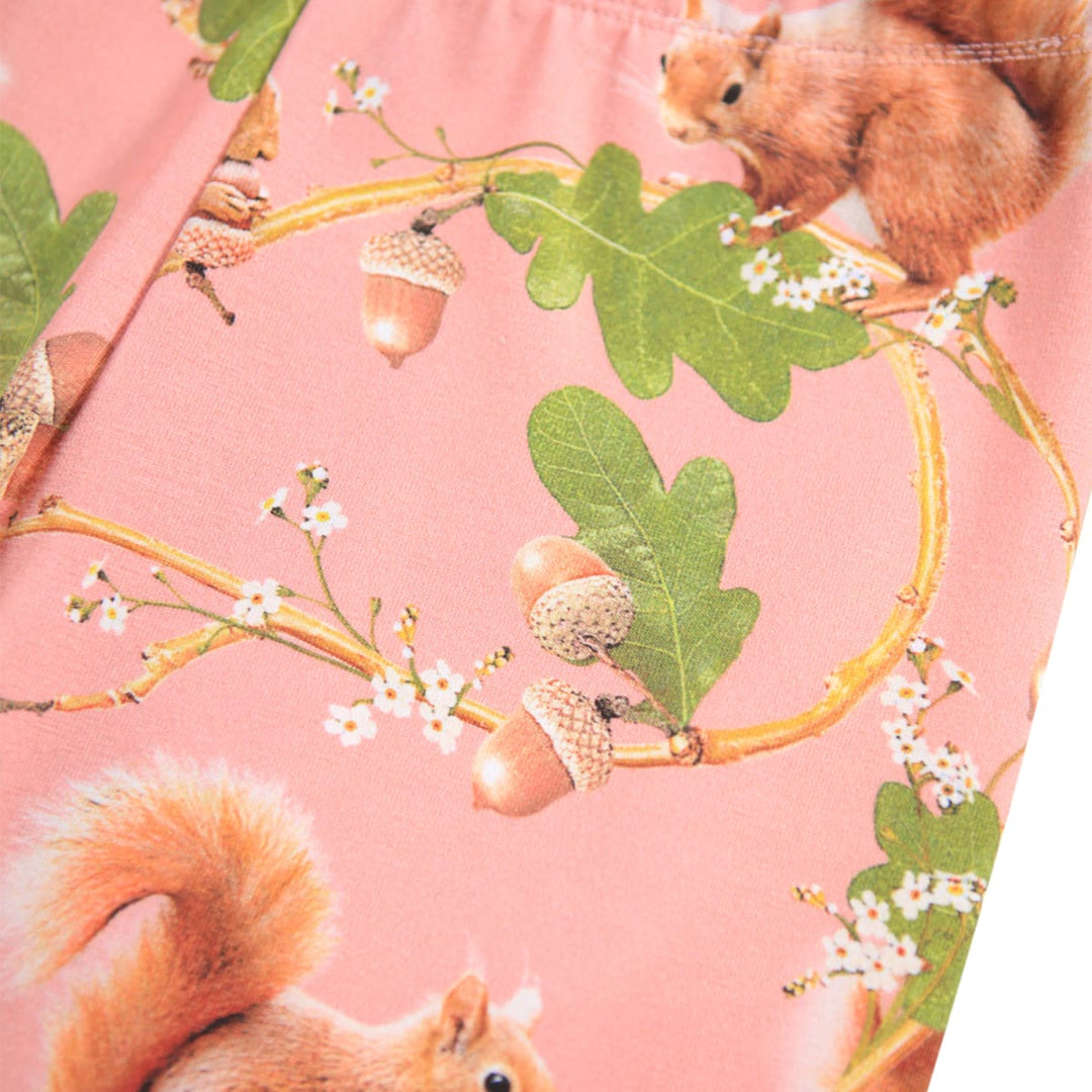 Niki - Squirrel Forest