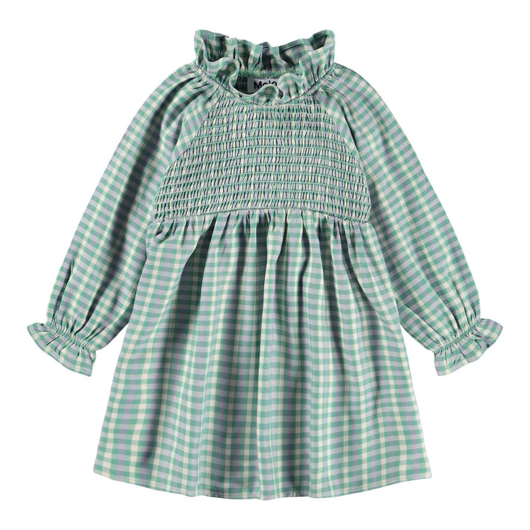 Campa Dress Long Sleeve - Menthe Gingham