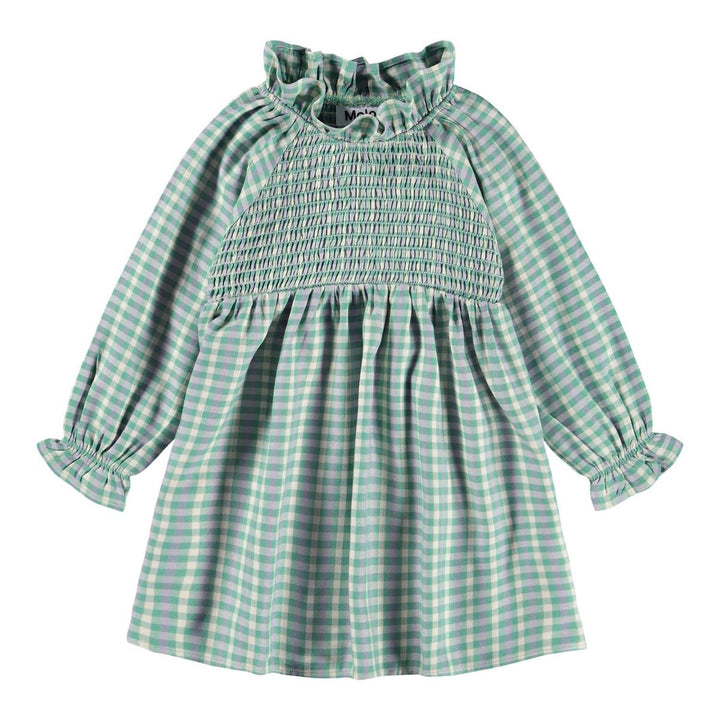 Campa Dress Long Sleeve - Menthe Gingham