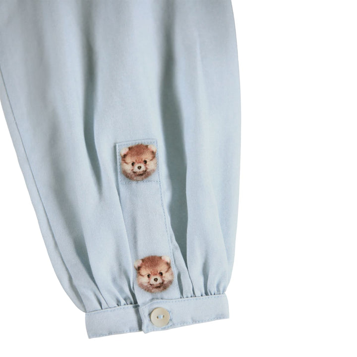 Clara - Pocket Pets