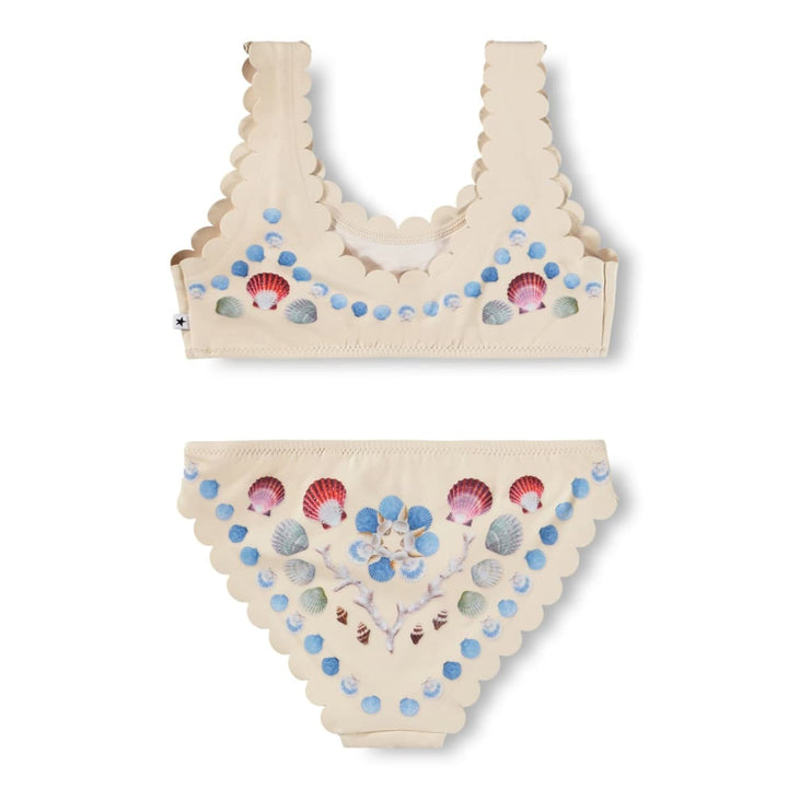 Nolina - Sea Shell Deco