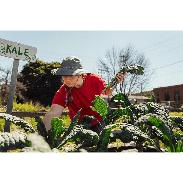 The Forager Hat - Olive
