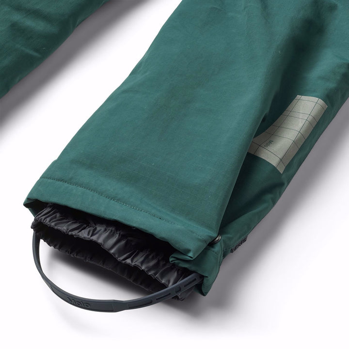 Paxton - Ponderosa Pine