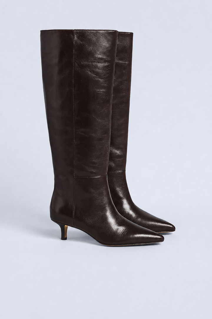 Women's Lisa 45 Tall Boots - Dark Raisin