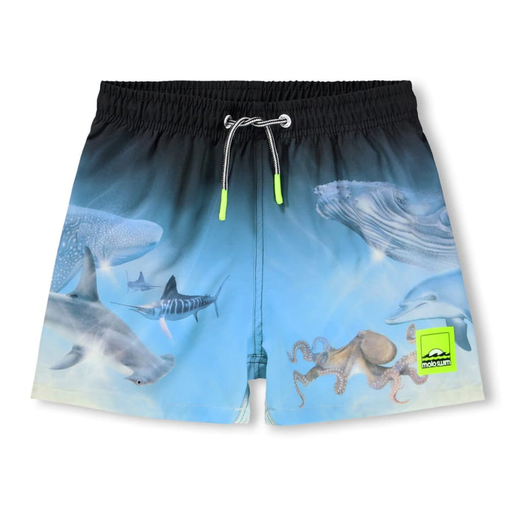 Niko - Air Brush Deep