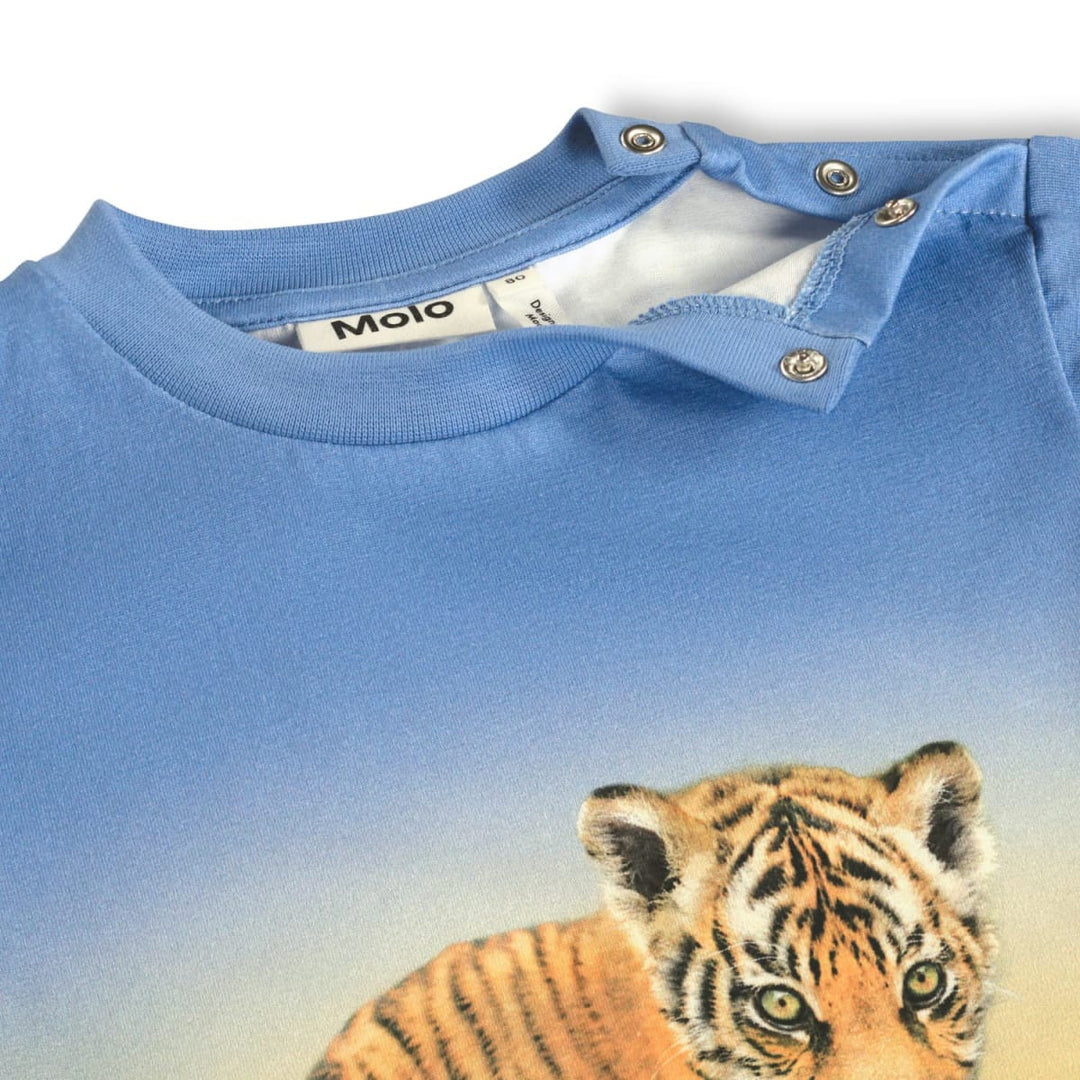 Enzo - Tiger Cub