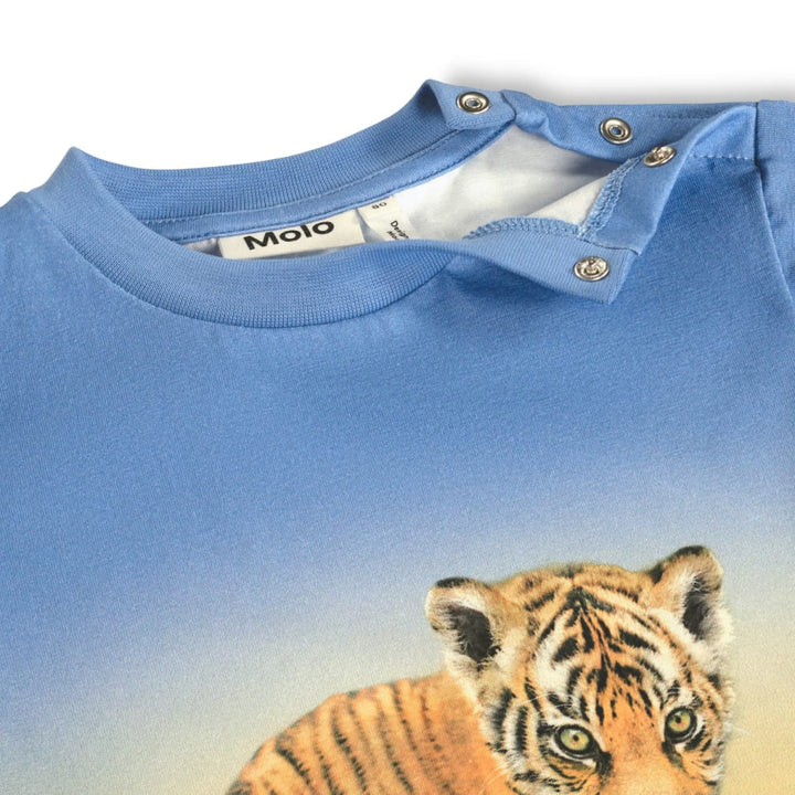 Enzo - Tiger Cub