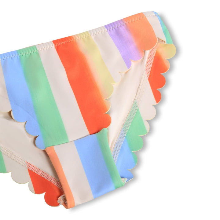 Nolina - Rainbow Paint