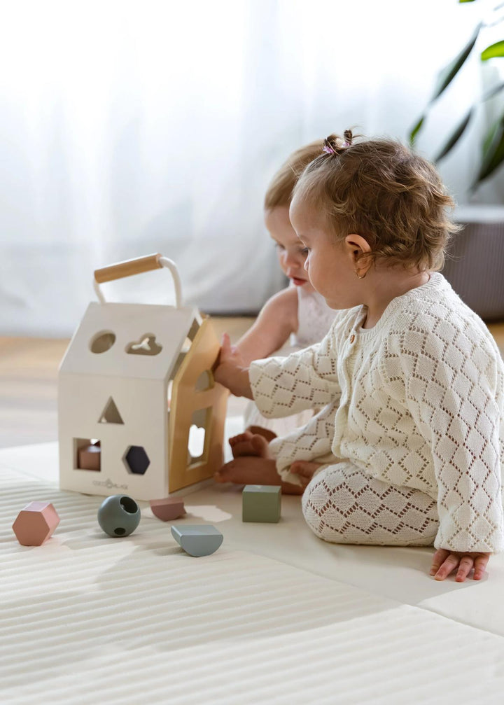 Wooden Shapes Sorting House