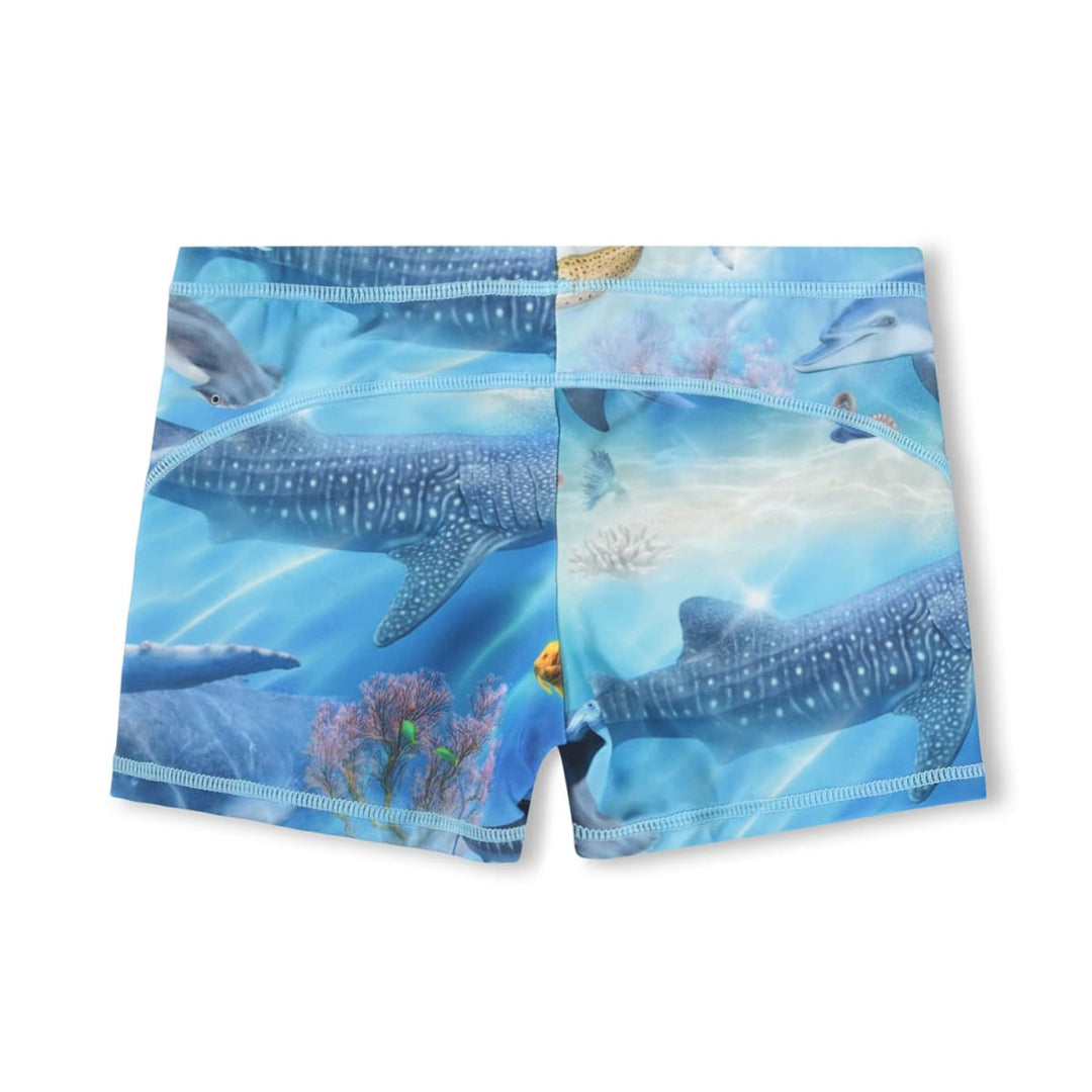 Norton - Air Brush Ocean