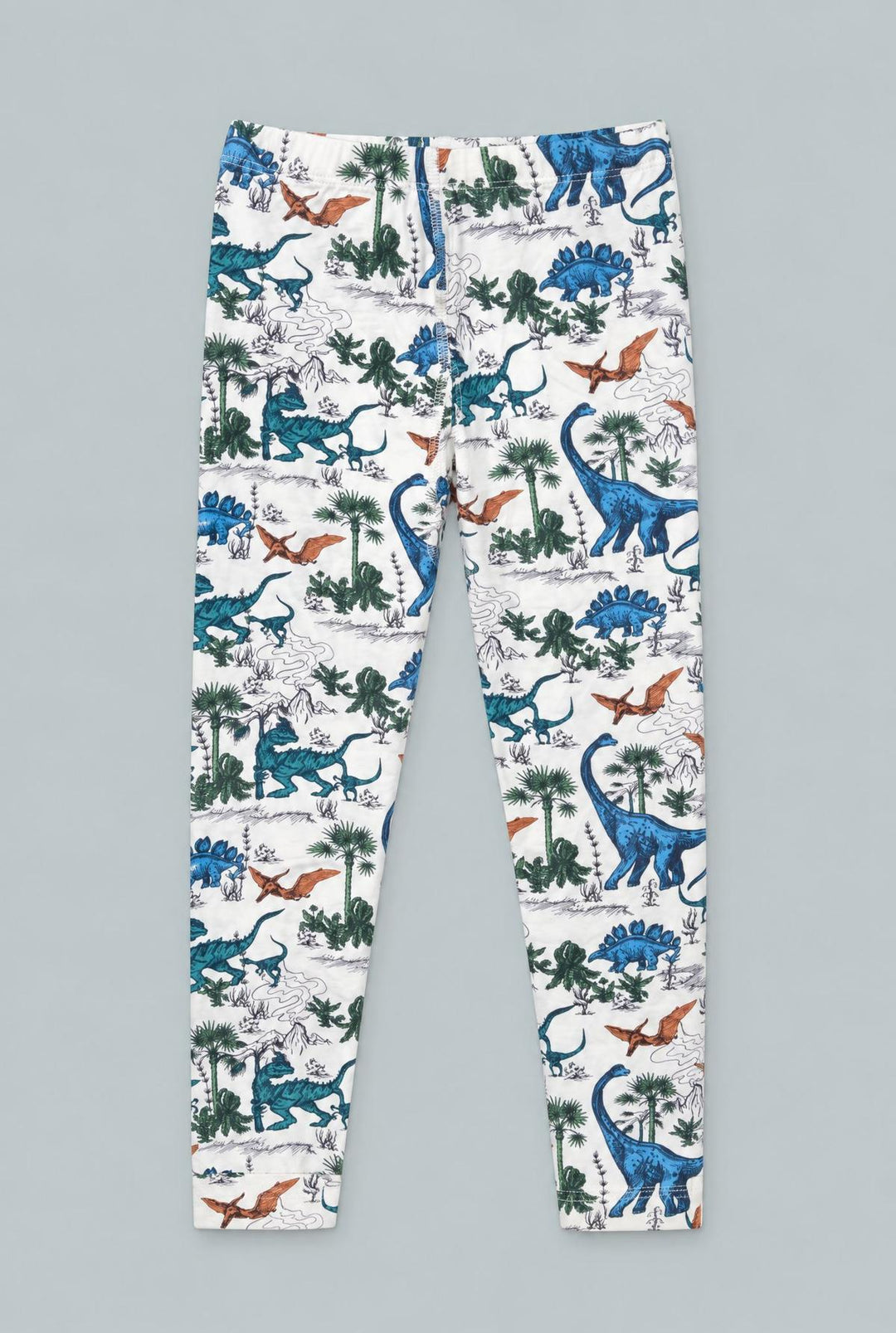 Dinosaur Adventures Big Kid Pajama Set - Dinoland