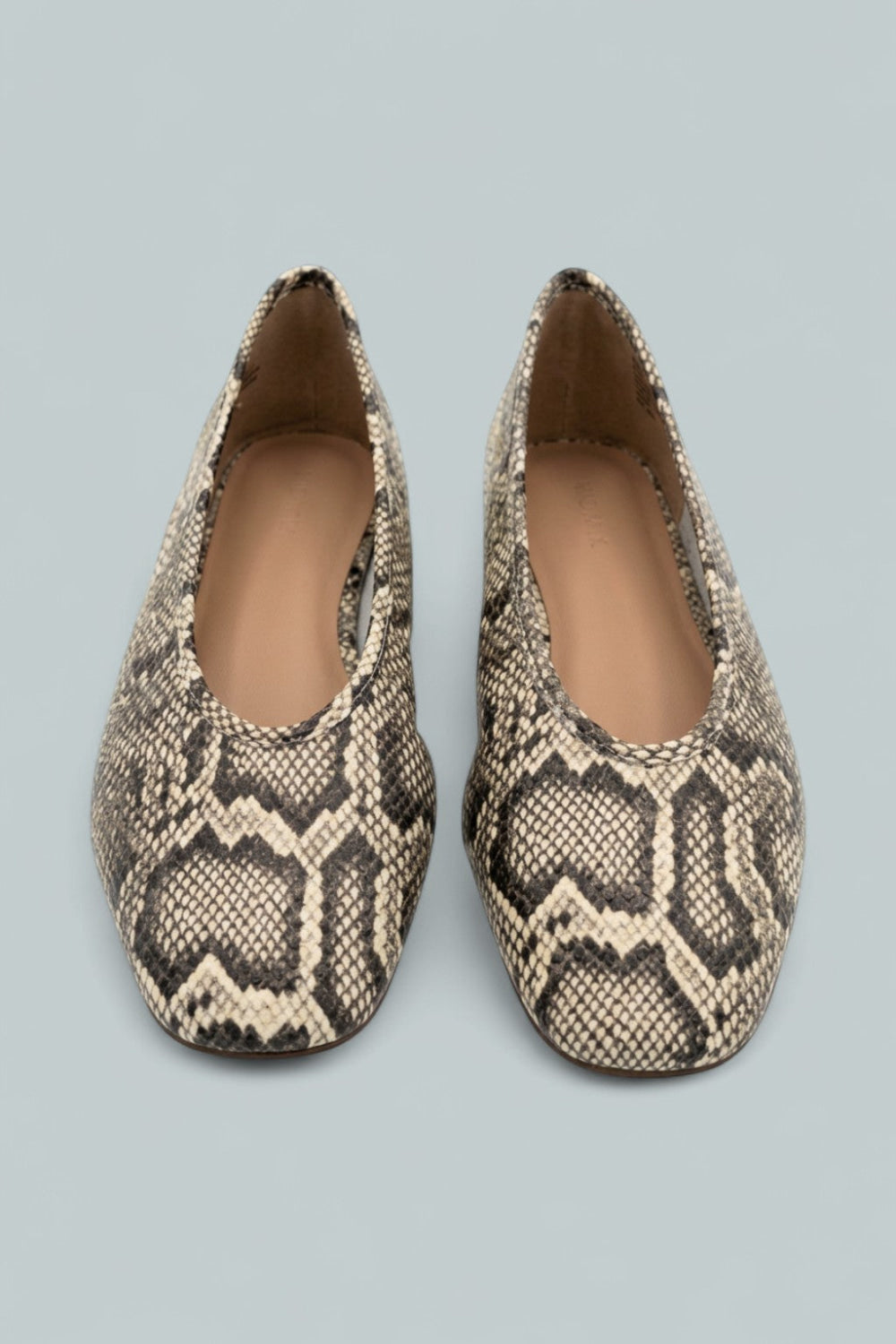 Ashle Flats Exclusive - Snake - 8.5 - Flats