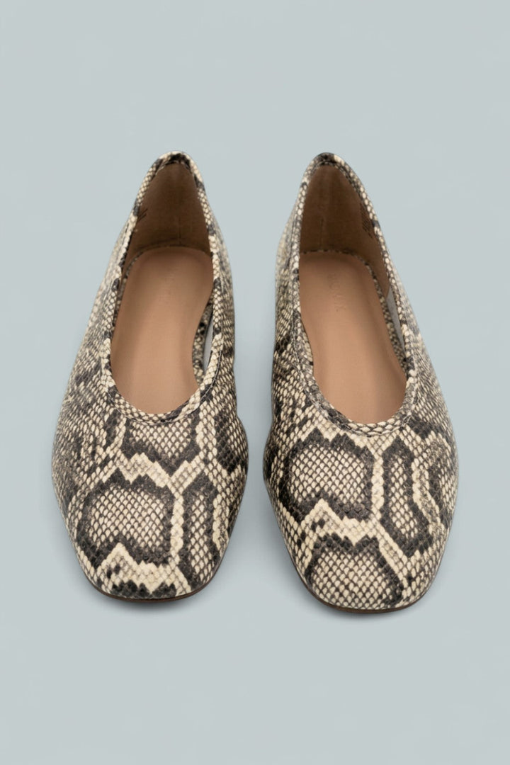Ashle Flats Exclusive - Snake - 8.5 - Flats