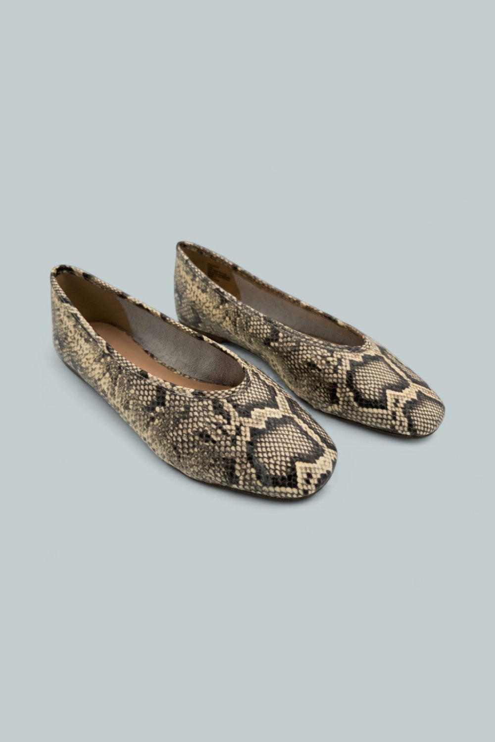 Ashle Flats Exclusive - Snake - 8.5 - Flats