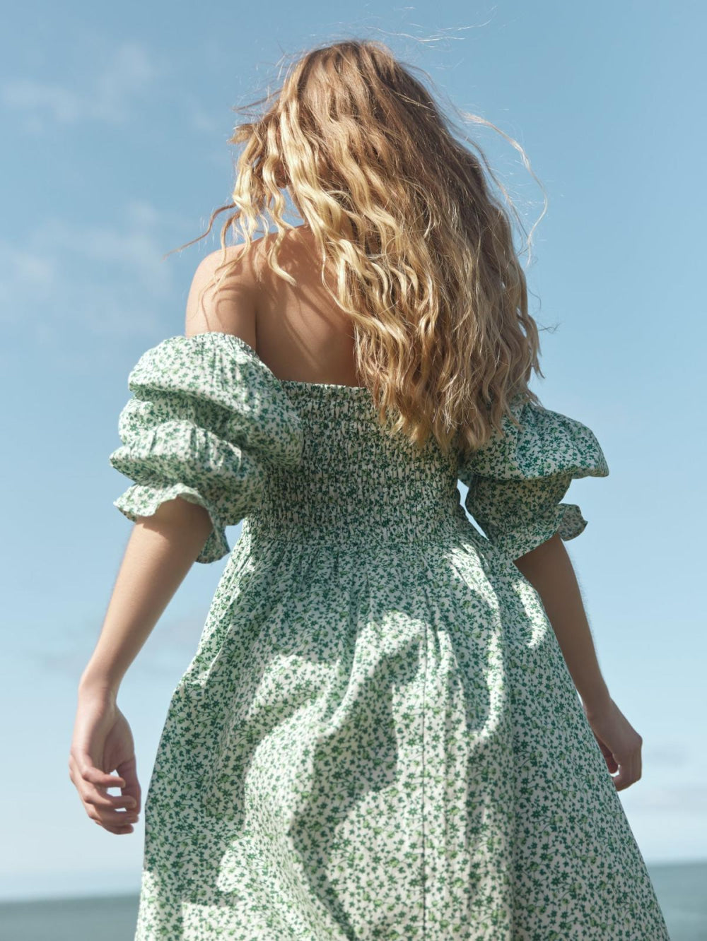 Audra Dress - Ivory/Grassy Knoll Ditsy Floral - FINAL SALE - Dresses