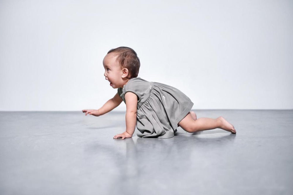 Baby Fit & Flare Dress - Grey - Dresses
