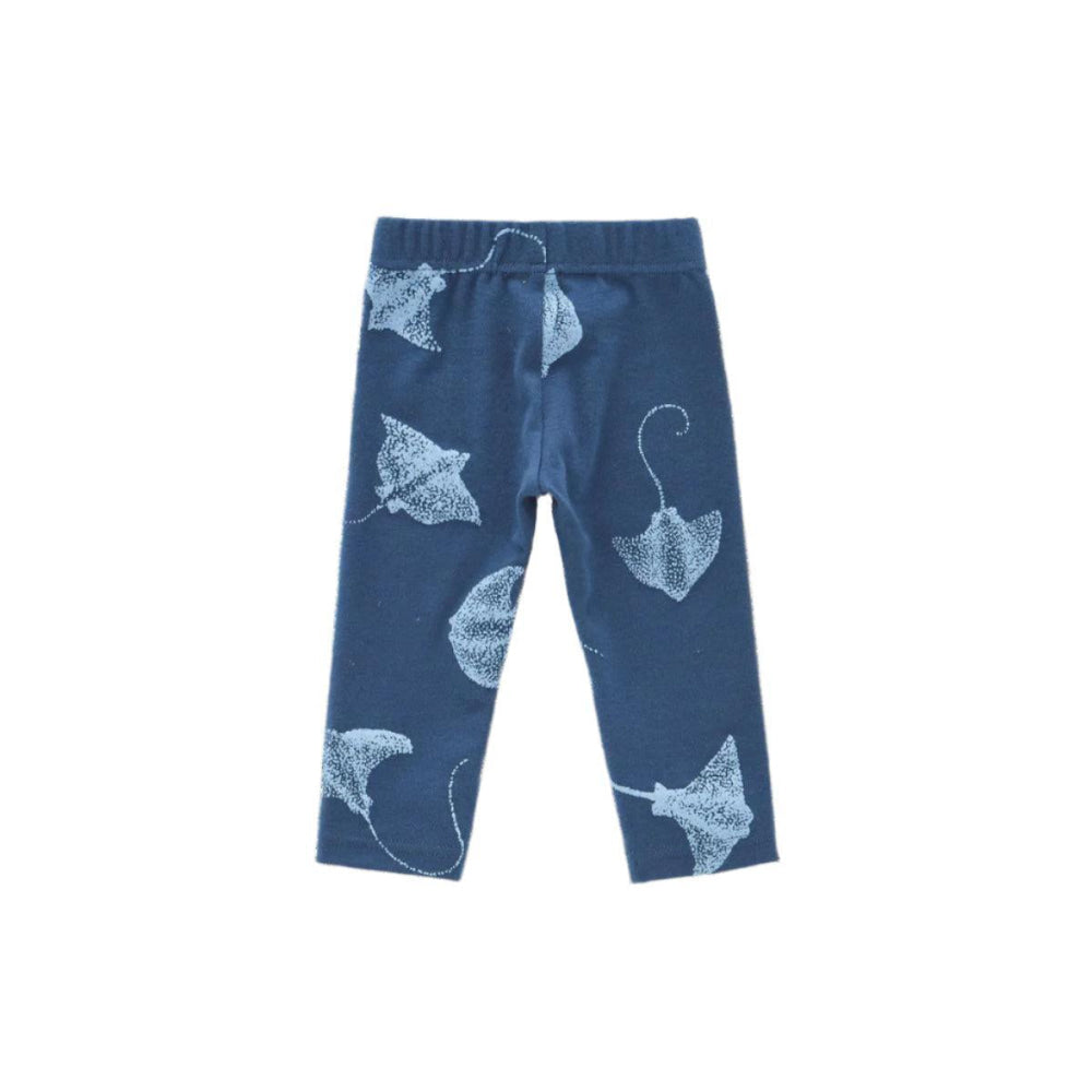 Baby Leggings - Navy - Leggings