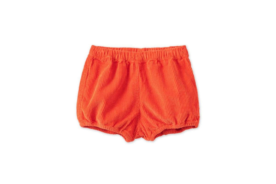 Baby Organic Cotton Corduroy Bloomers - Dark Coral - Bloomer