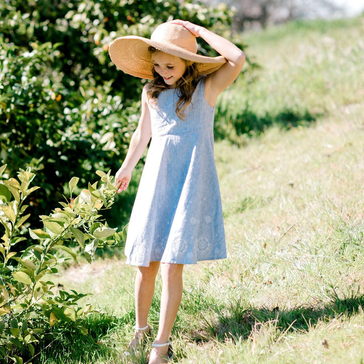 Fit and Flare Dress with Embroidered Hem - Blue Micro Stripe
