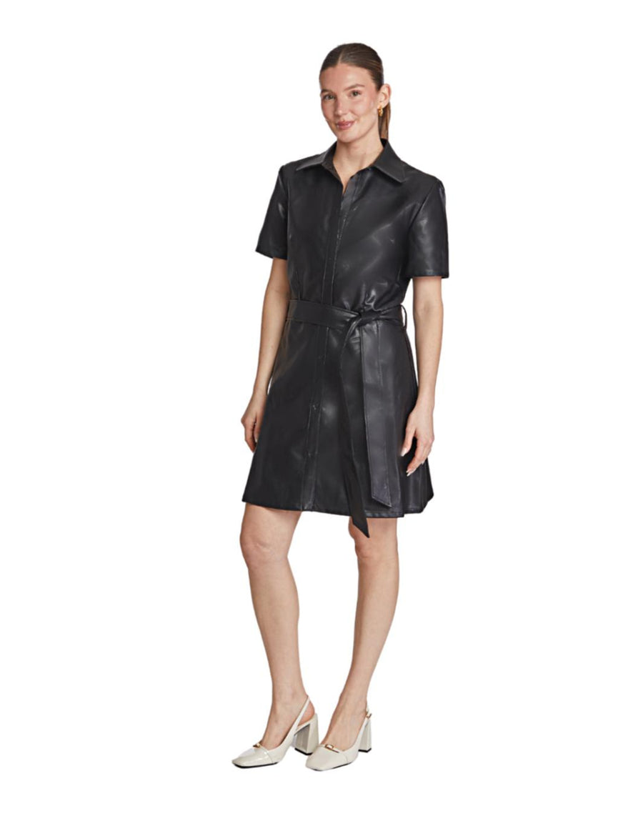 Berk Dress - Black - Dresses